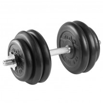 Гантель разборная 27,5 кг TITAN Barbell - d31