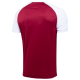 Футболка игровая CAMP Reglan Jersey JFT-1021-G1, гранатовый/белый